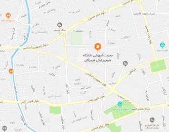google map image